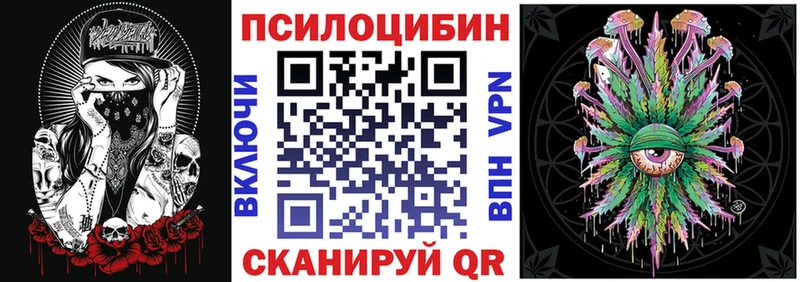 Псилоцибиновые грибы Psilocybe  Купить закладки  Озёрск 